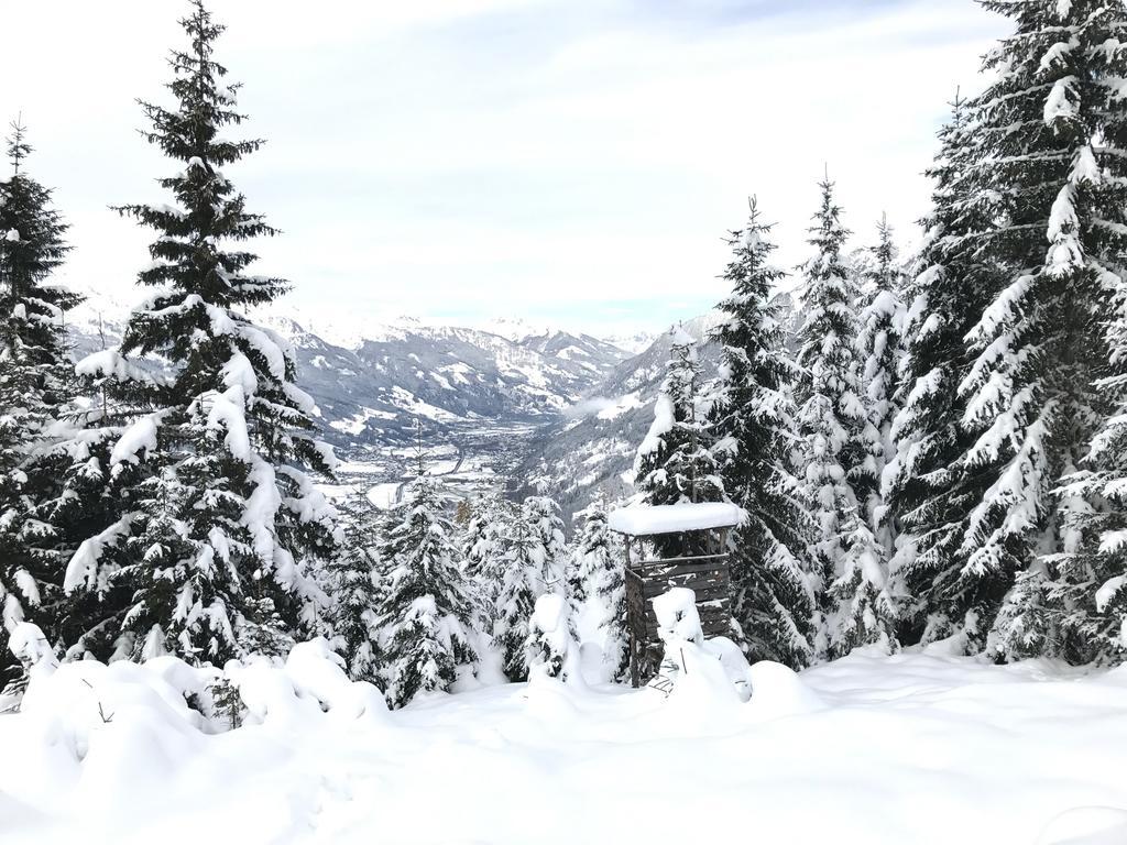 Landhaus Rathgeb บาดกัสไตน์ ภายนอก รูปภาพ
